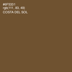 #6F5331 - Costa Del Sol Color Image